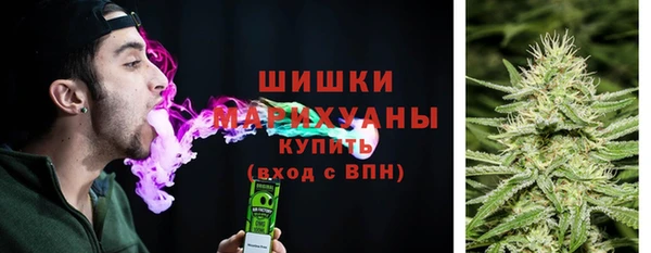ECSTASY Богородск