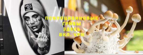 MDMA Premium VHQ Богородицк