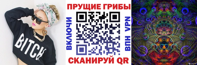 Галлюциногенные грибы Cubensis  наркота  Каменск-Уральский 